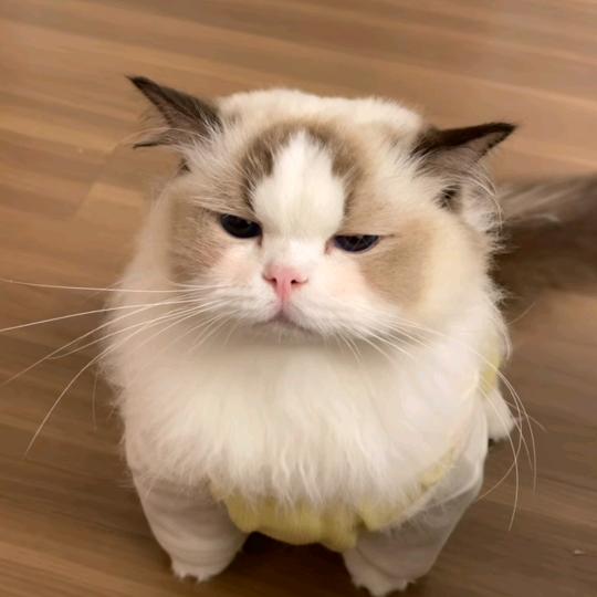 🌈🌈咕噜🌈🌈