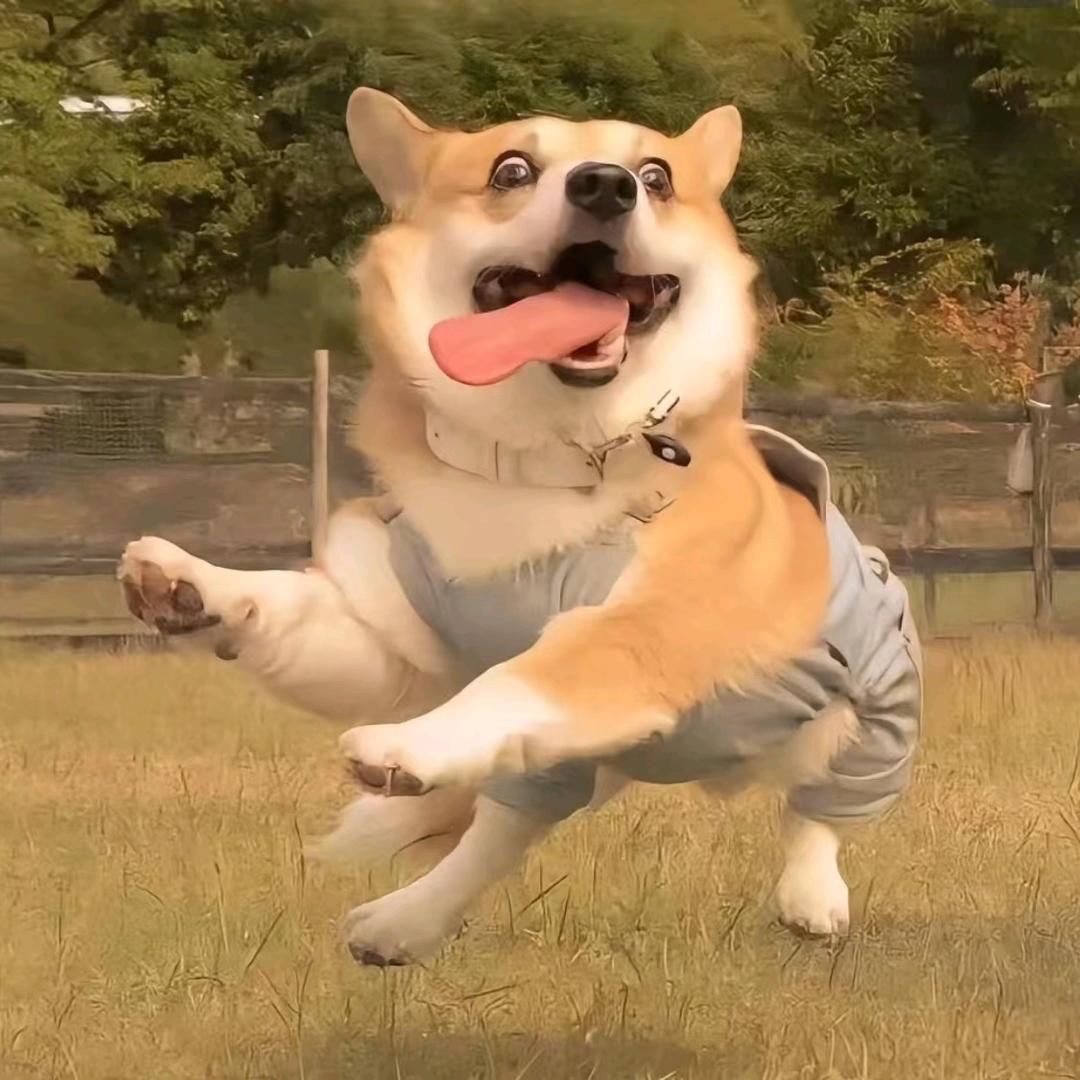 金秀妹好物