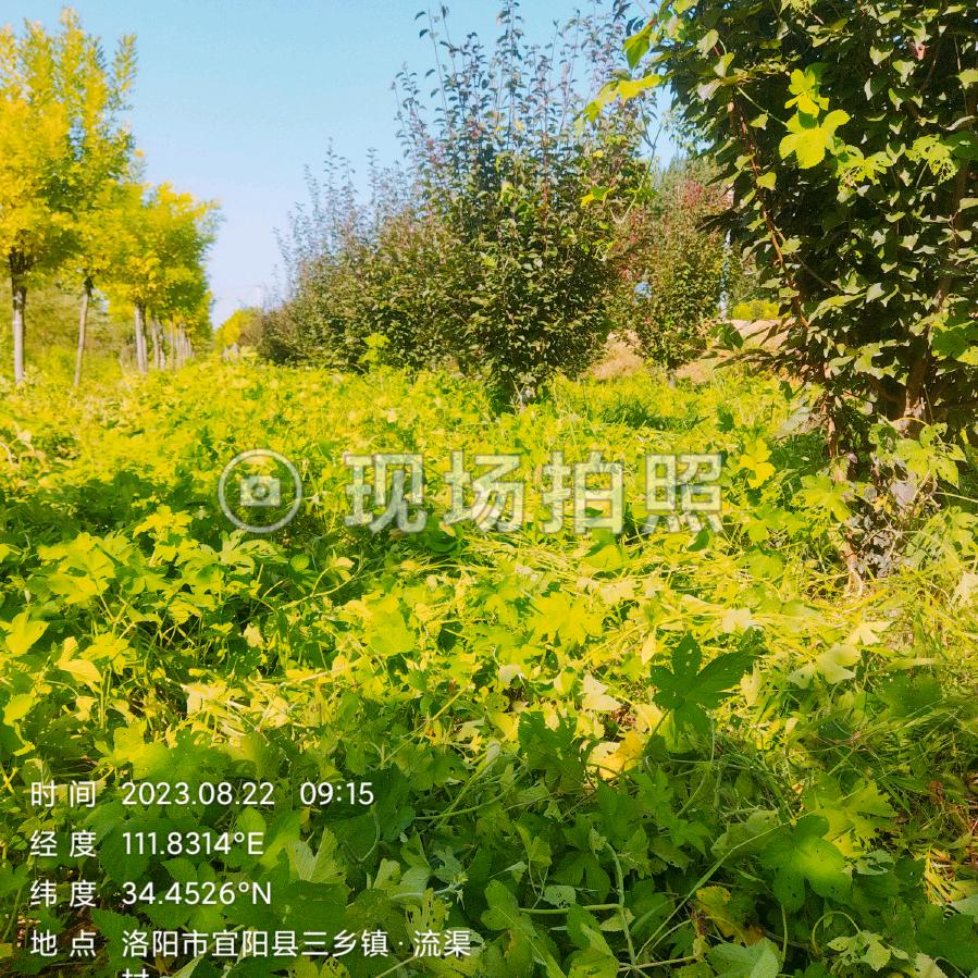 喜悦福