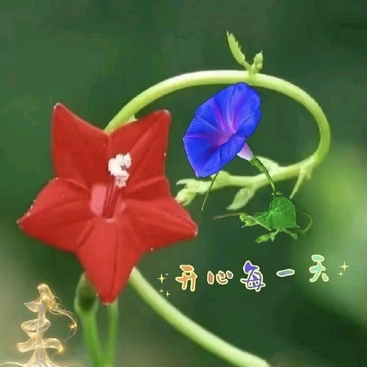 点支烟