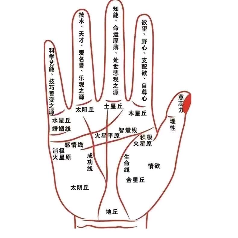 黄老