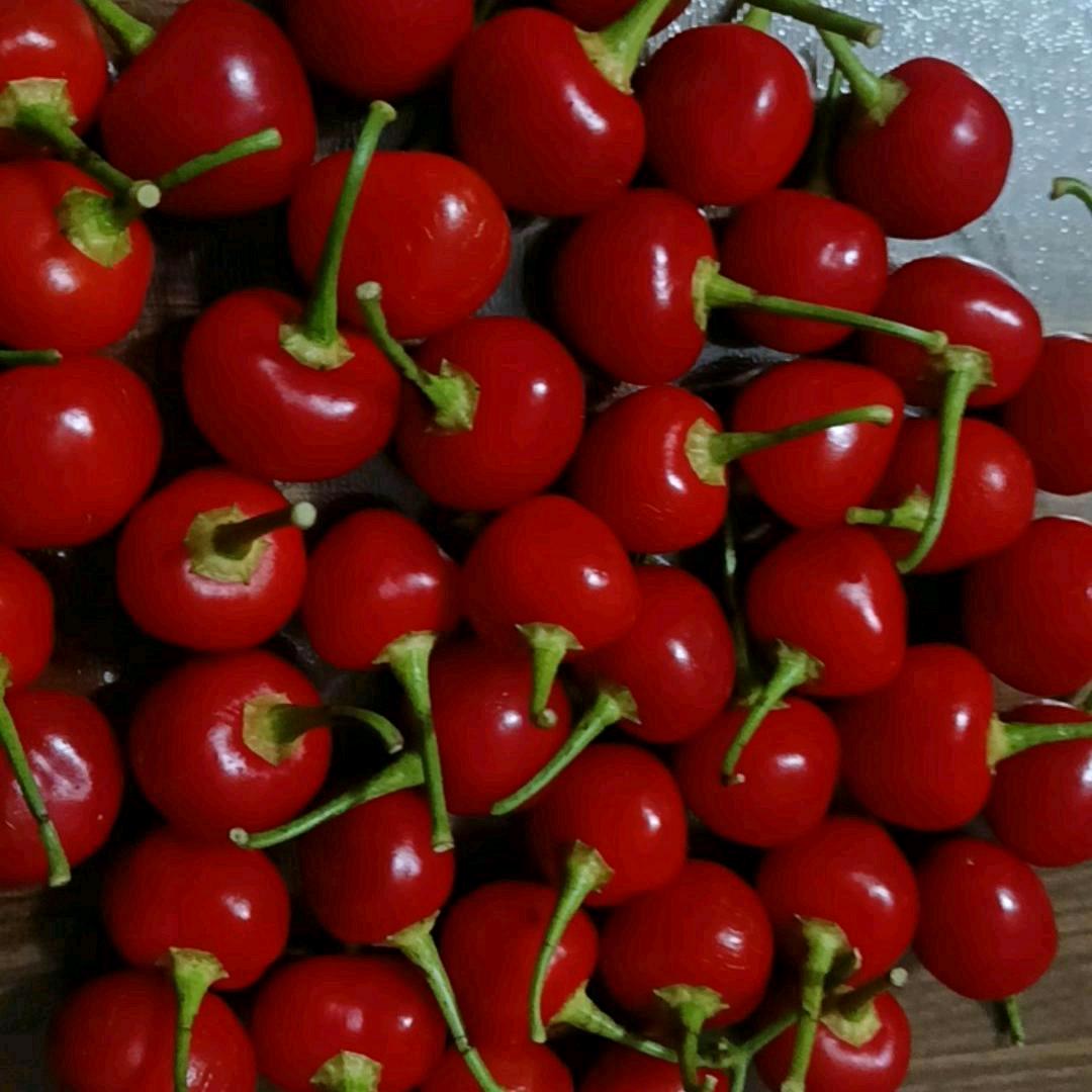 只想更懂您！平安是福🙏