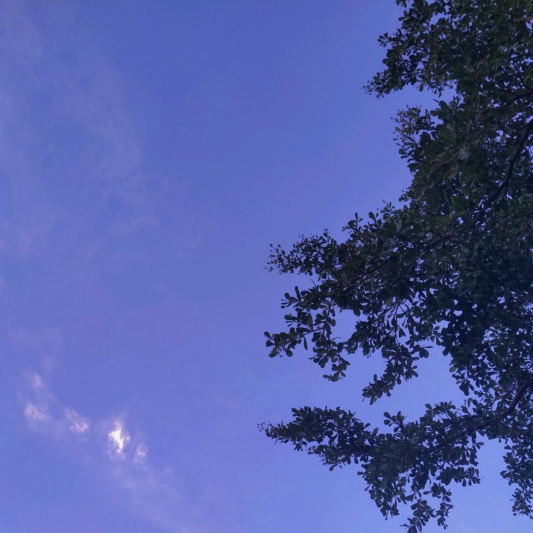 叽里咕噜吃饭啦