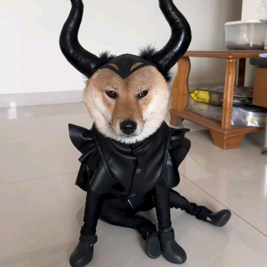 小月