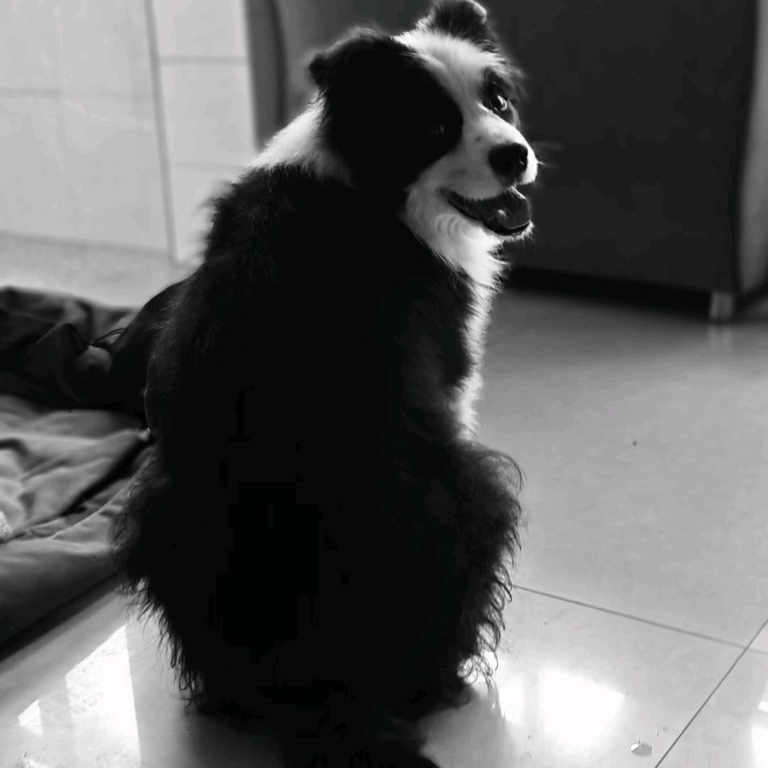 沈遇之