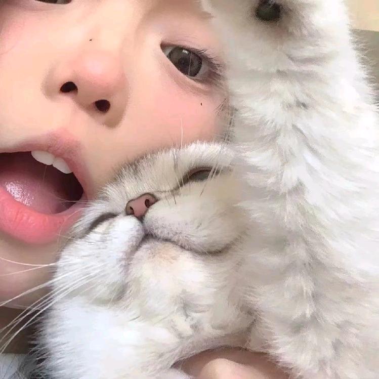 绝