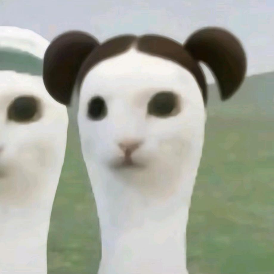 固态水