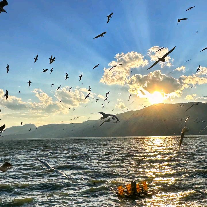 霞涓业务号