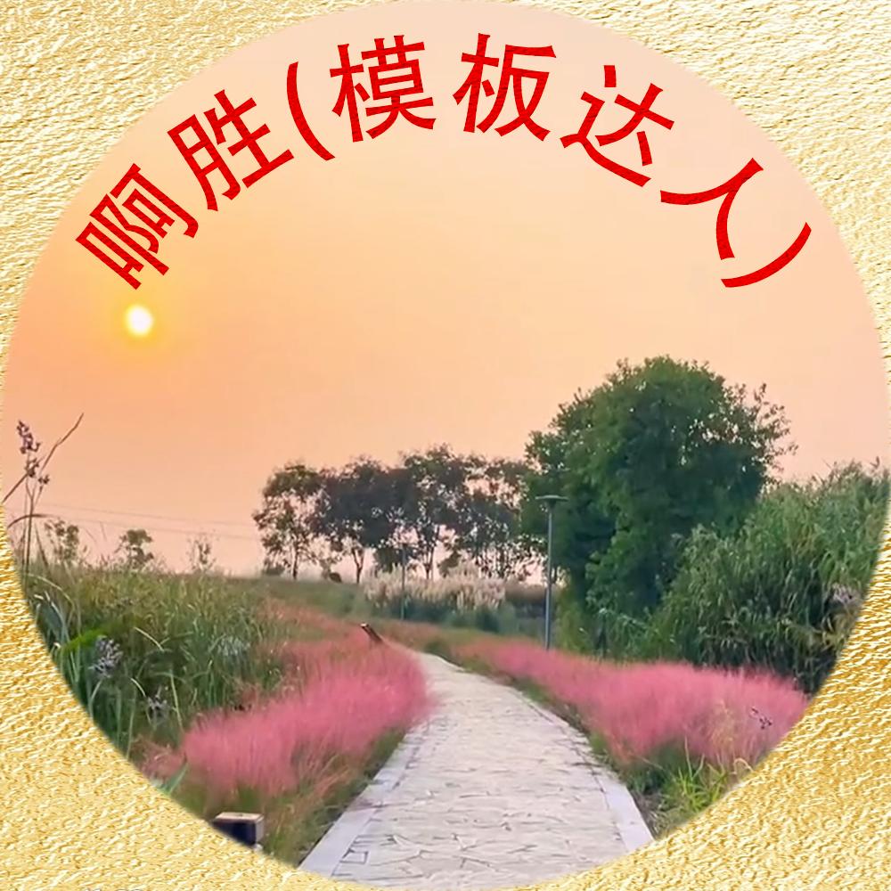 啊胜模板达人(特效师)
