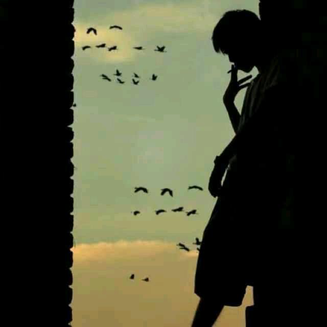 (˵随风¯͒〰¯͒˵)