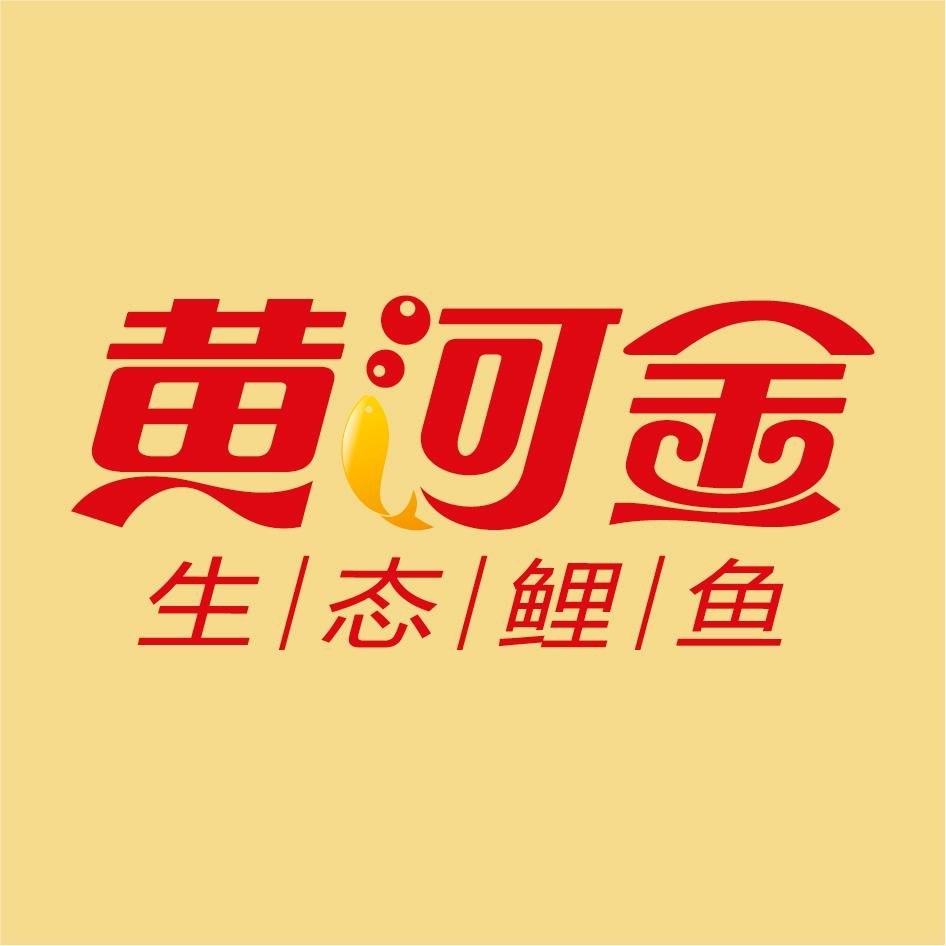 黄河金生态鲤鱼
