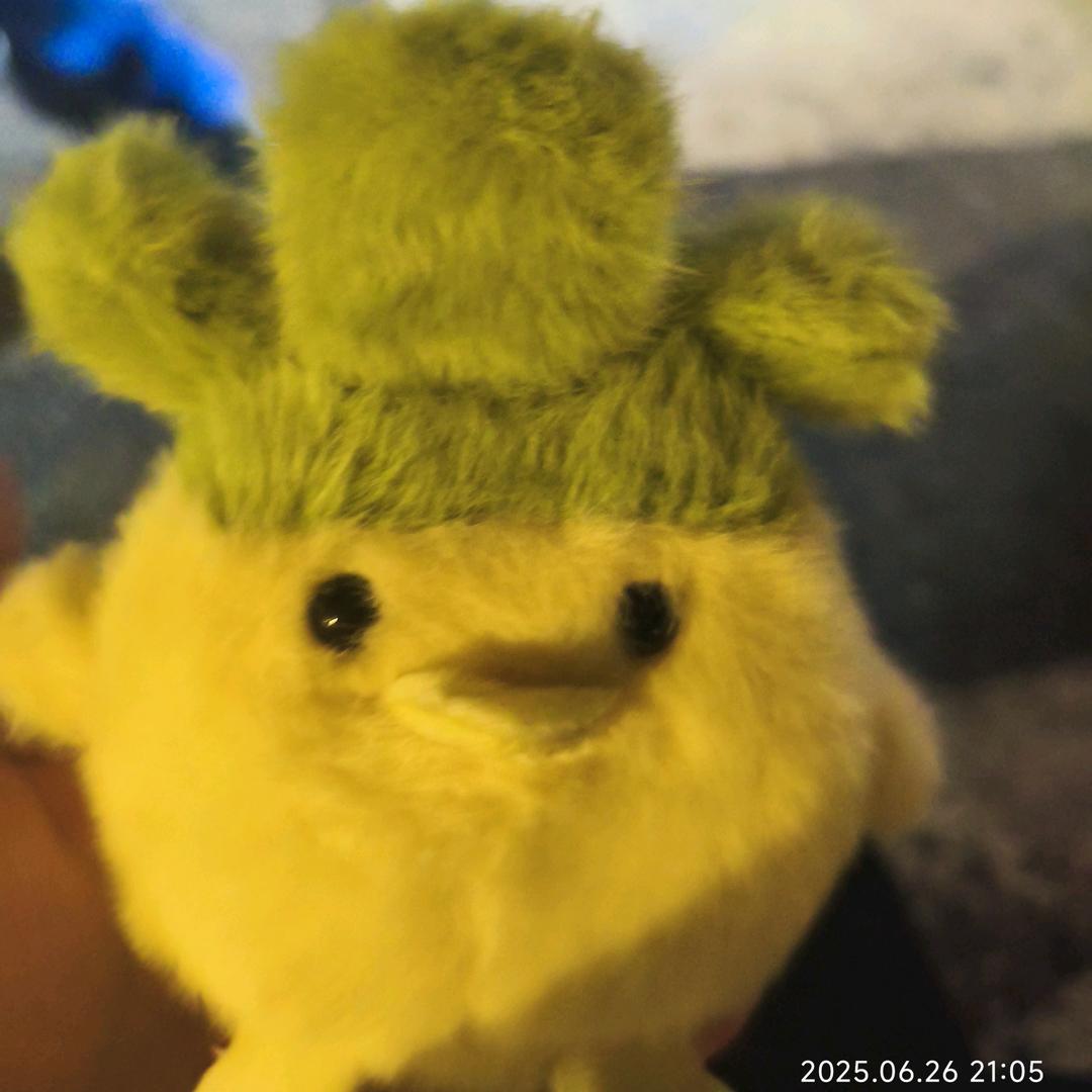 咪