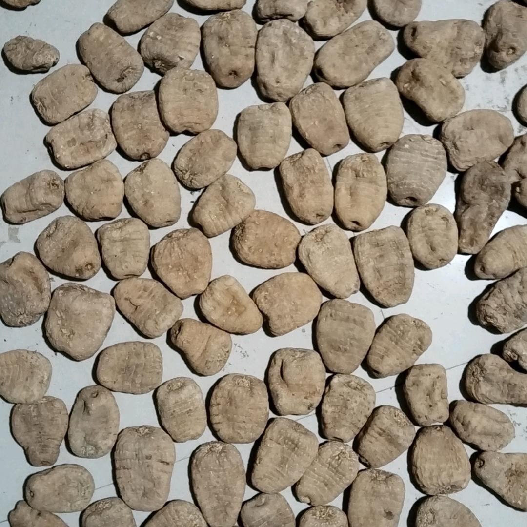 极致单品（天麻）小丁
