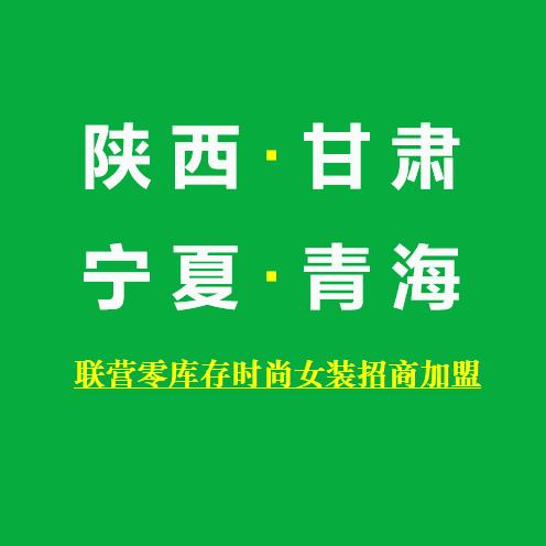 素栖大码女装依瑾妍女装陕甘宁青公司招商