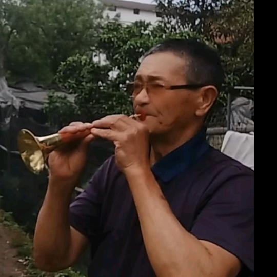 爱护身体(唢呐二胡)
