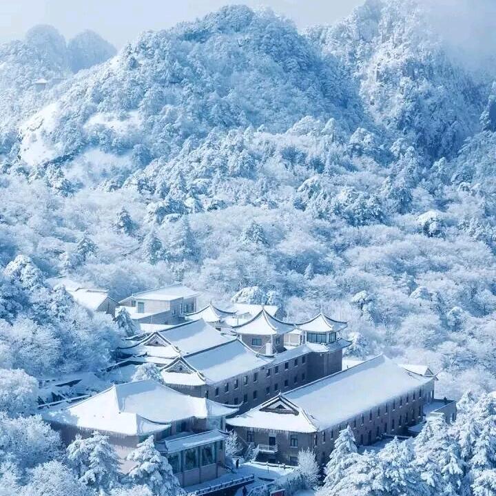南山苏雪