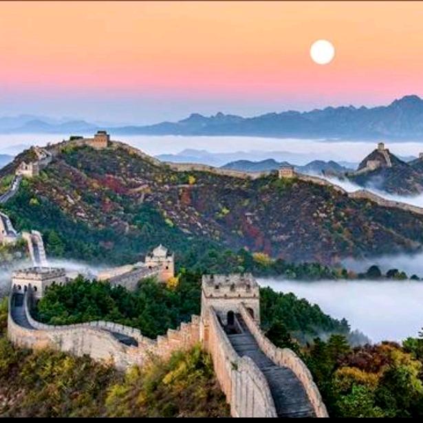 海信 🎑