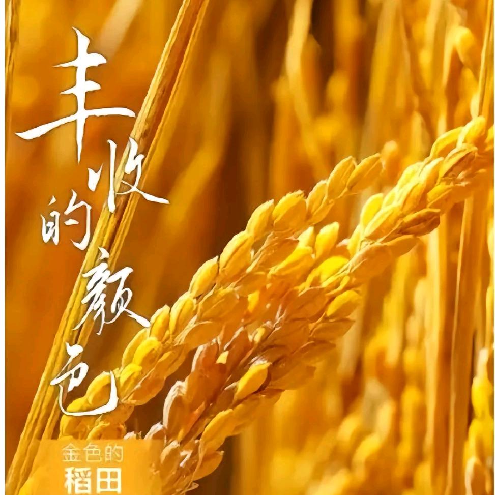 春天的春