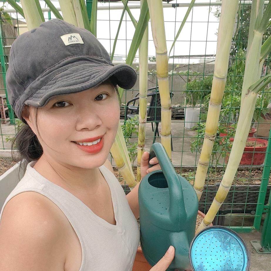 松子姐姐(拒绝精神内耗)