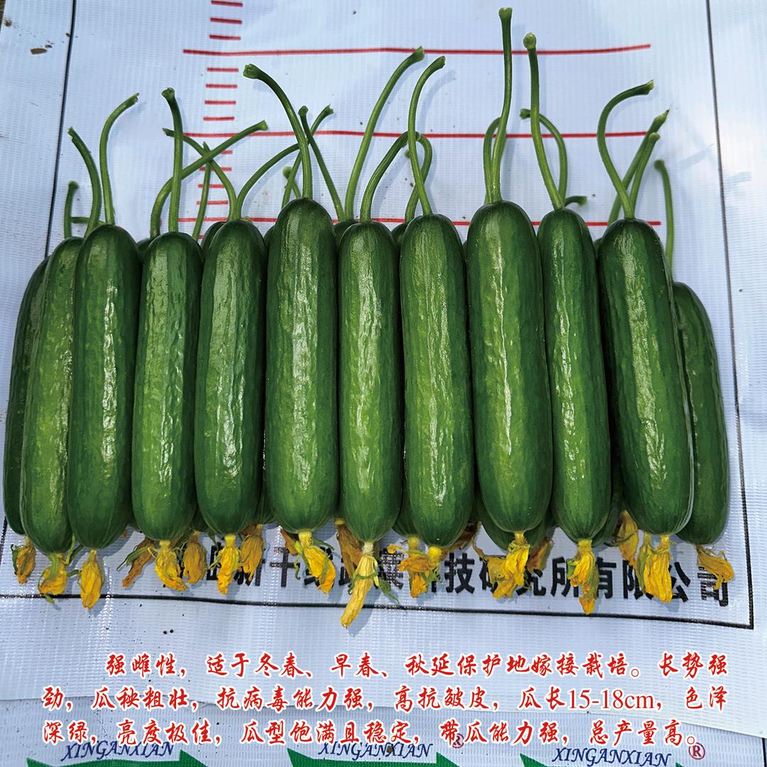 鑫盛源种苗（李法生）