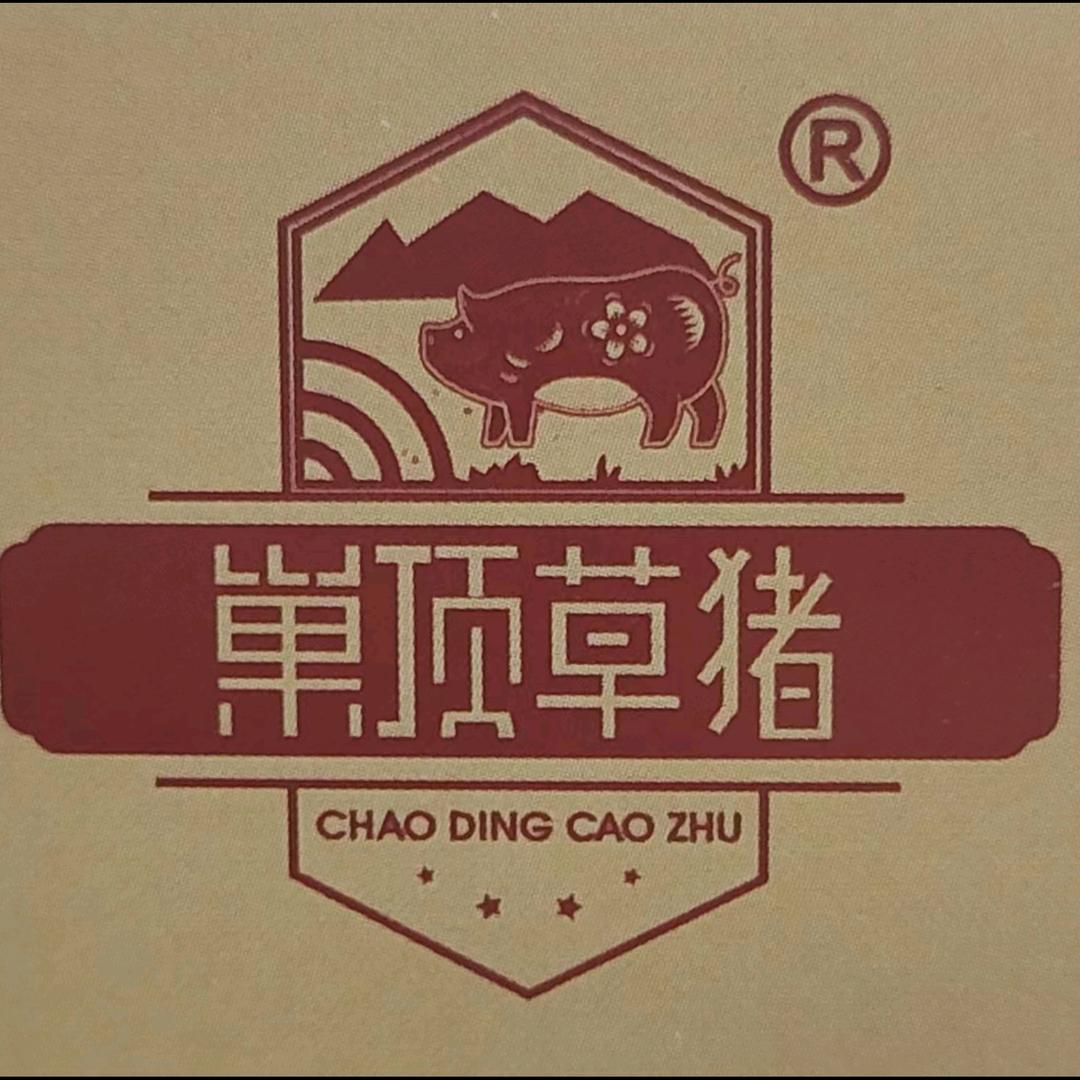 大四喜巢顶草猪