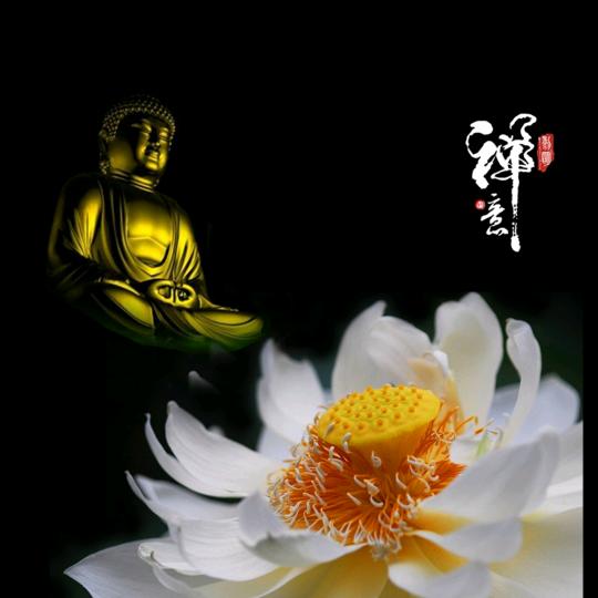 净思(听雨)