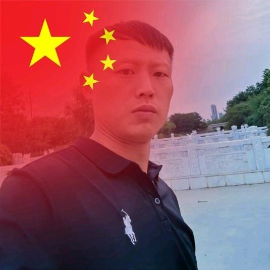 杨  龙