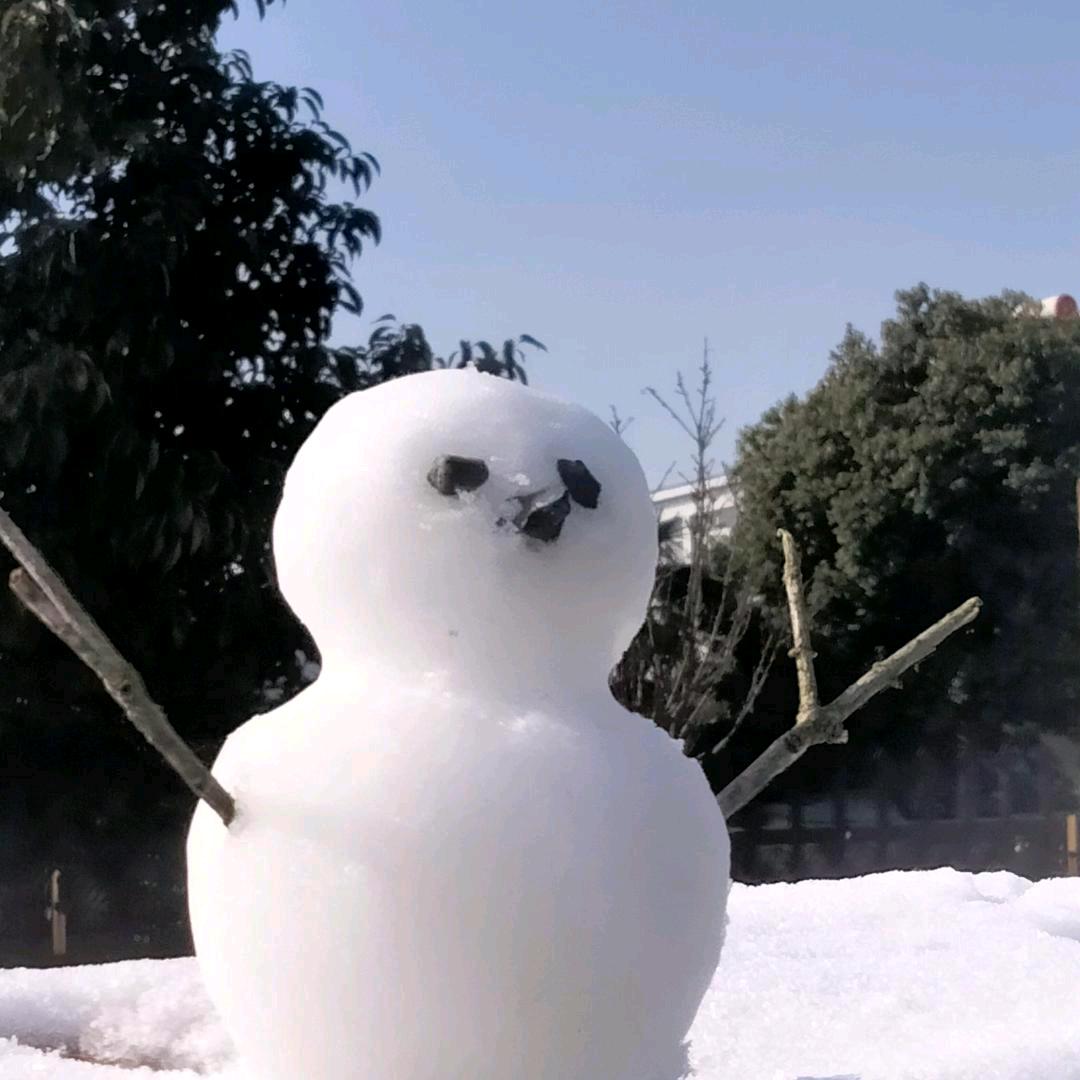 苏家老头