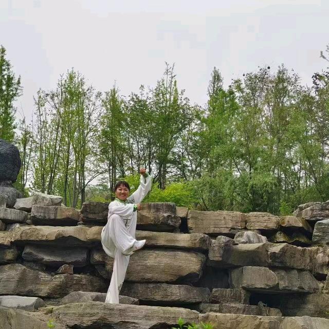 艳阳天太极