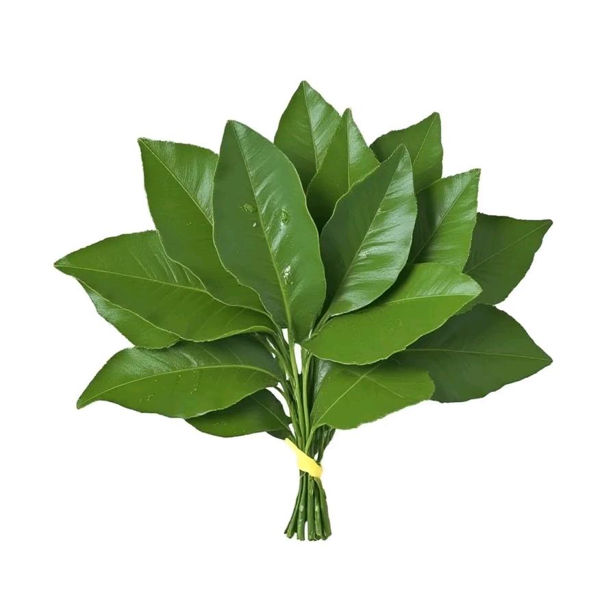 爱吃🍎的🍐