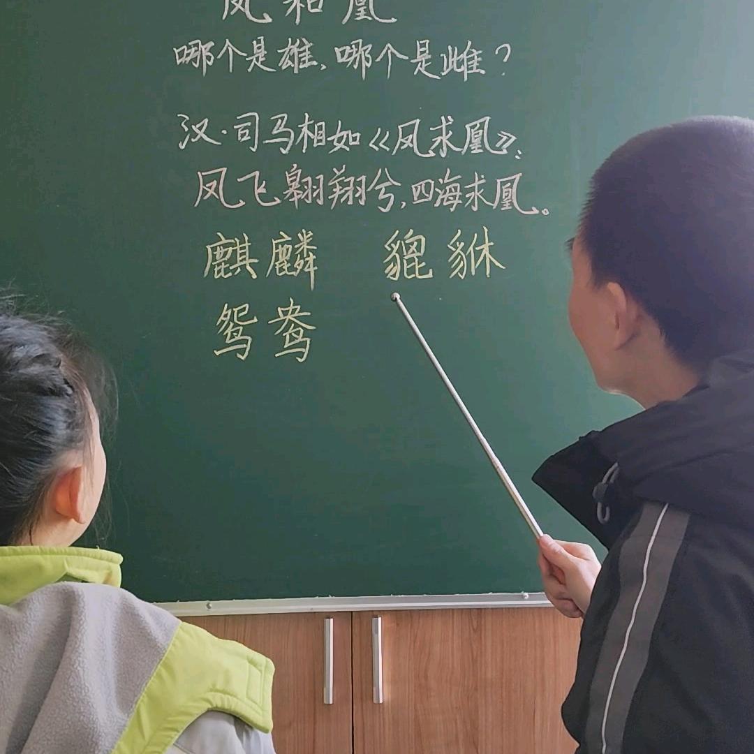 语文林老师