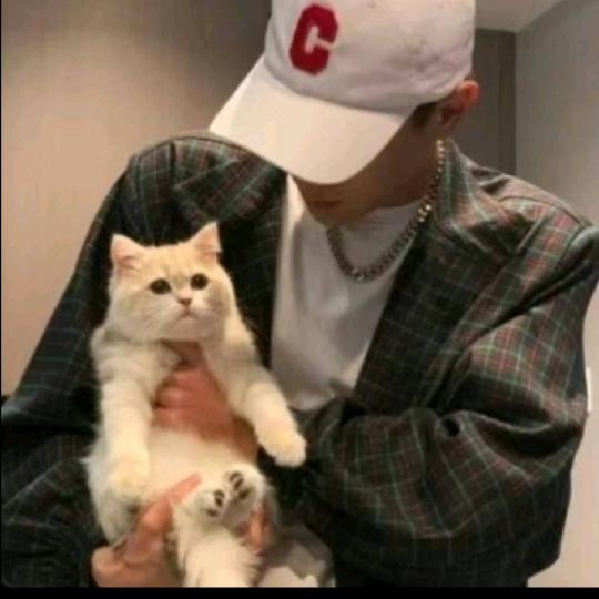 ㅤ  ㅤ ㅤㅤ  ㅤ ㅤ