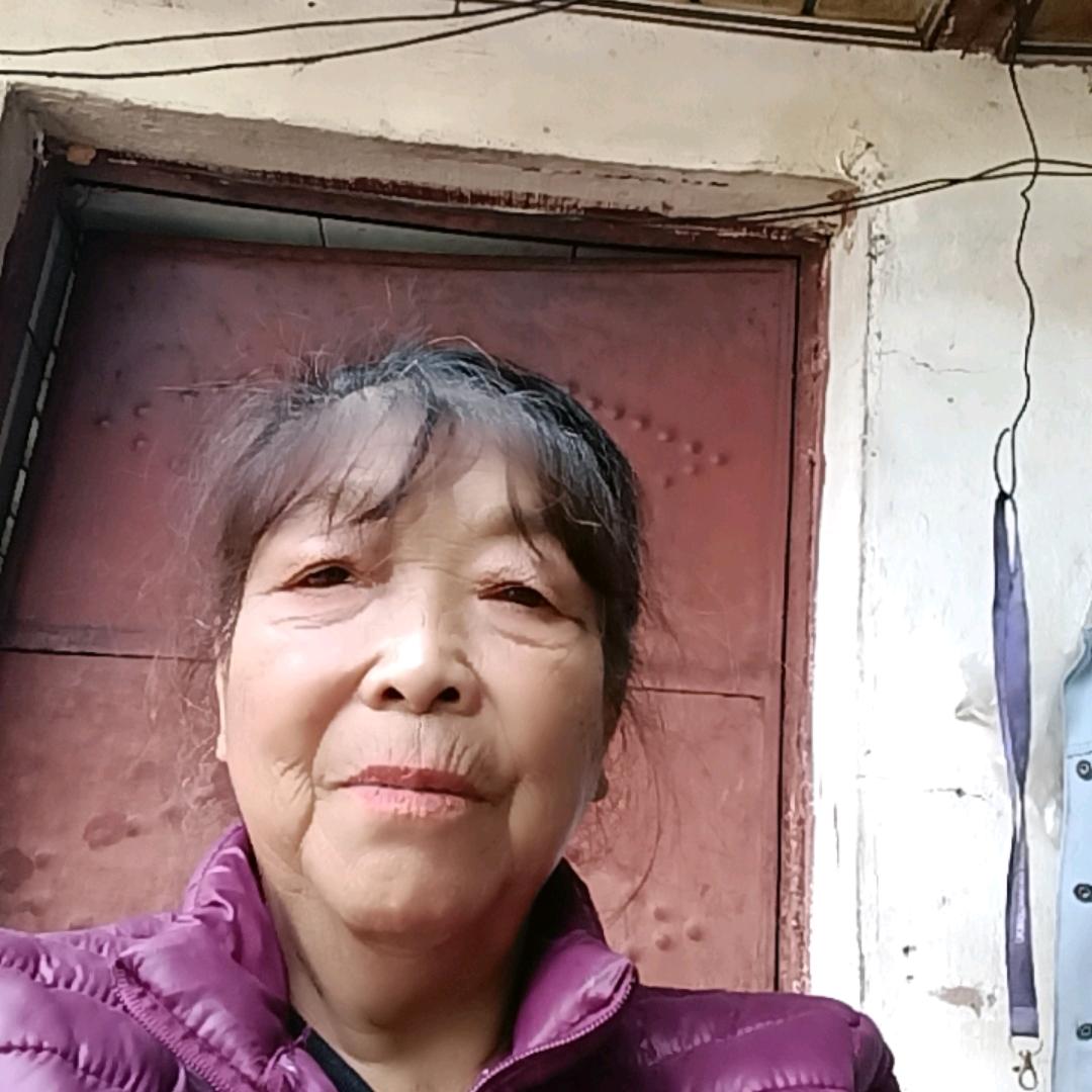 向阳花开