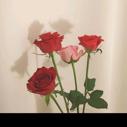 花姐