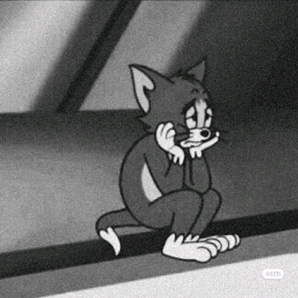 鑫泽