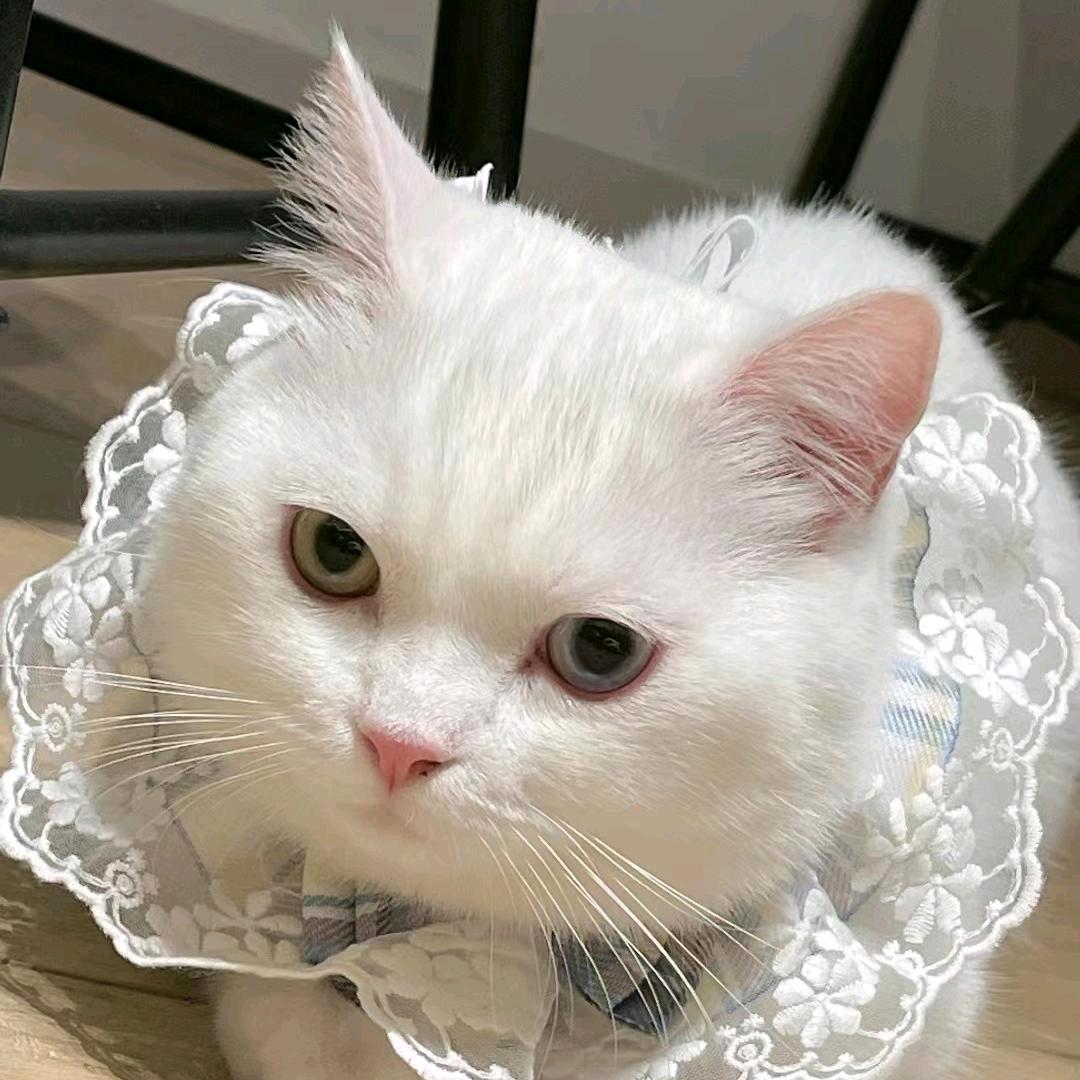 盒子里边有什么