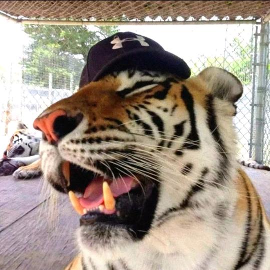 钓鱼要到岛上钓