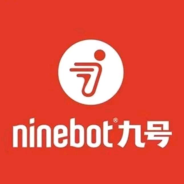 九号.真智能电动车（独流店）