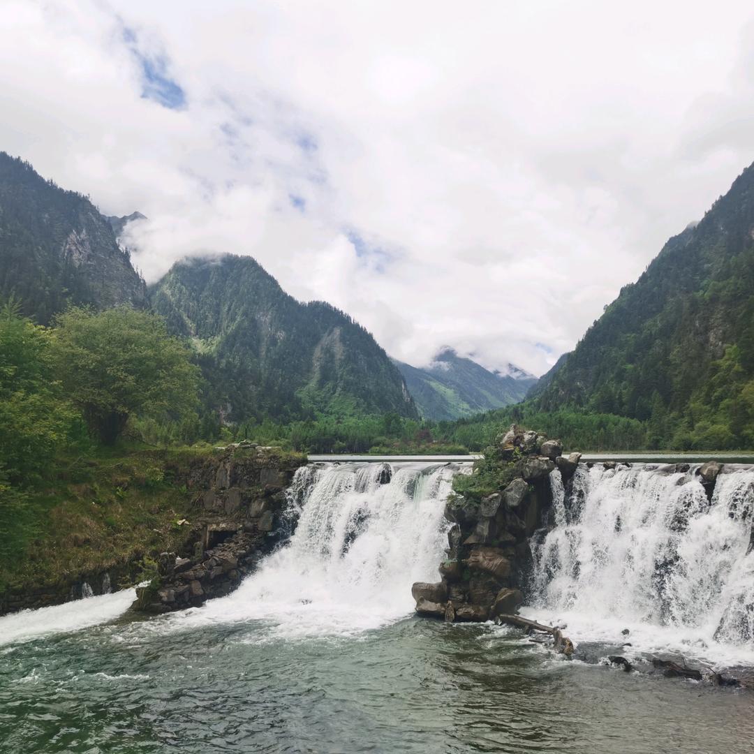 黄油奶罐