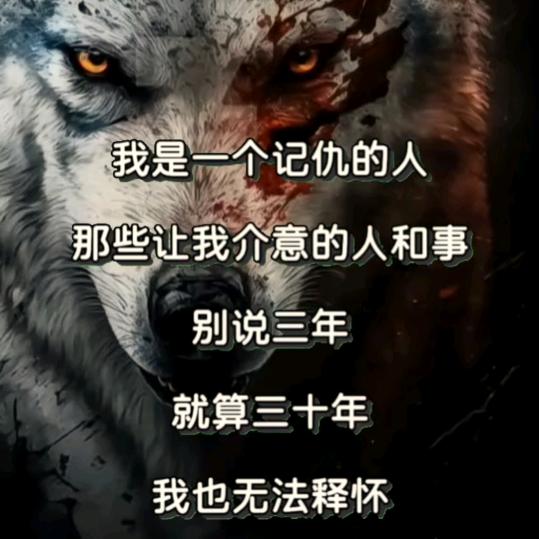 安徽黑狼