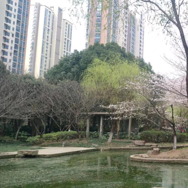 承承看剧