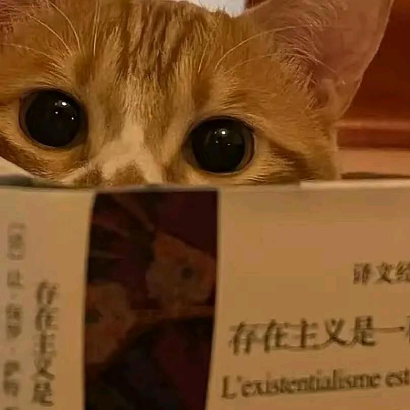 这节课下课吃什么