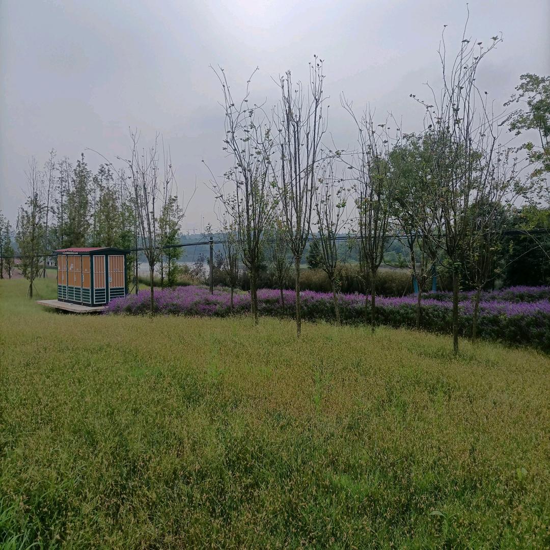 大洋