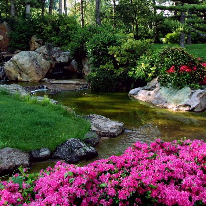 西苑绿植基地批发