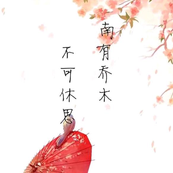 莫伤