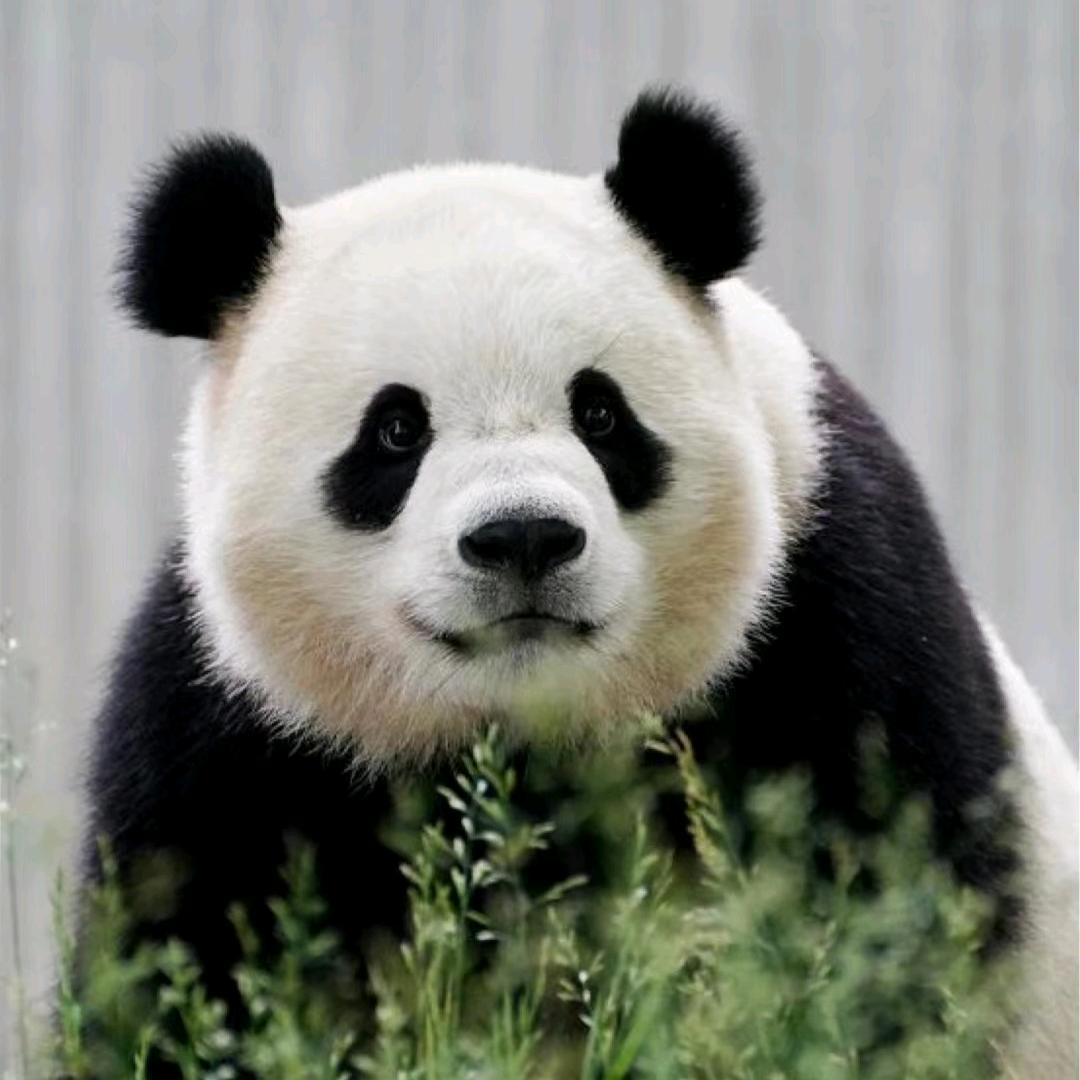 ꧔ꦿ躺赢℘᭄ᩚ꯭ᩚ专业户꧔ꦿ