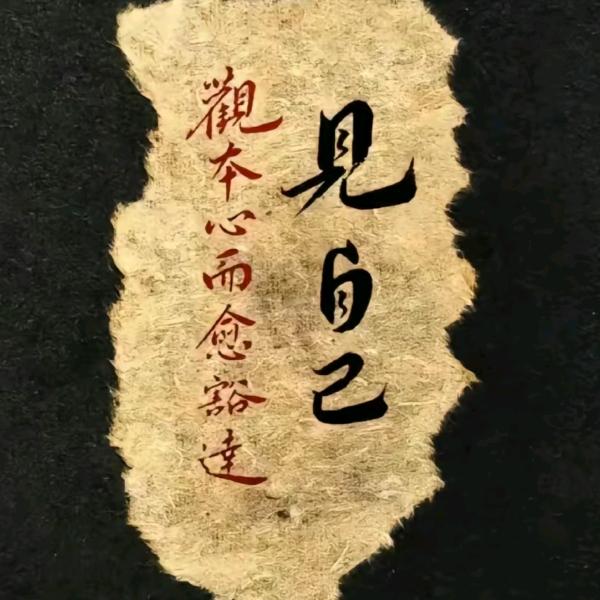 来条老中美