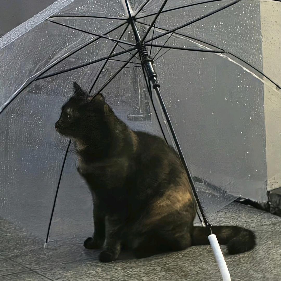 雨 淅淅沥沥