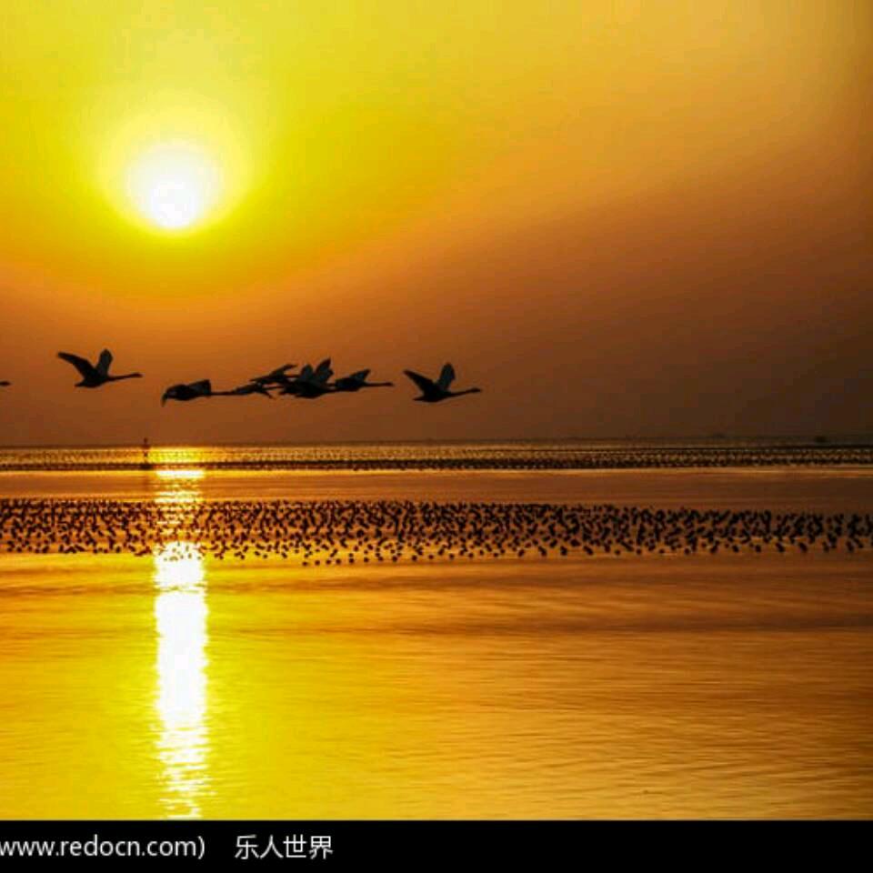 春天的阳光