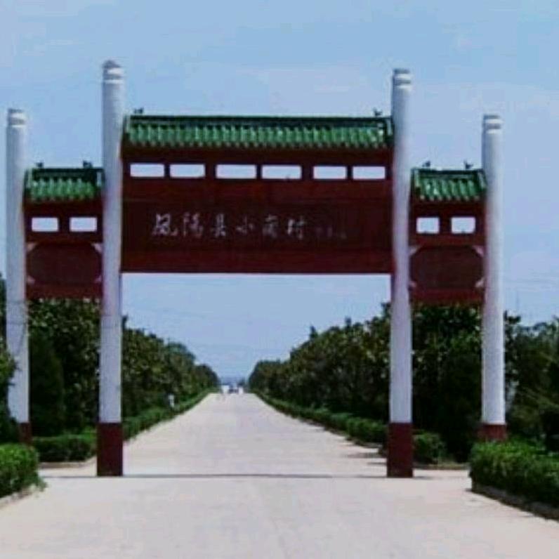 小岗村樊姐